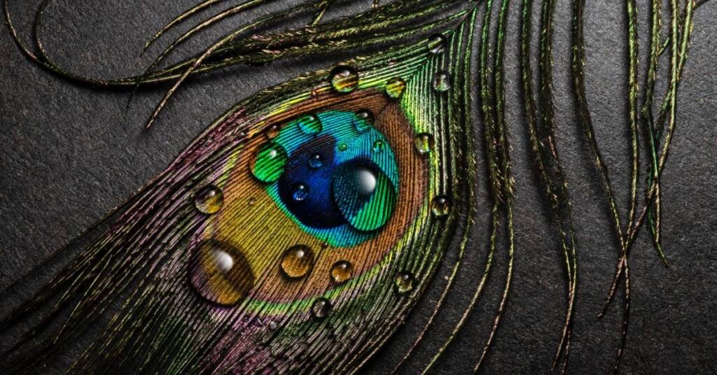 Ram-Rajya and Krishna-Neeti