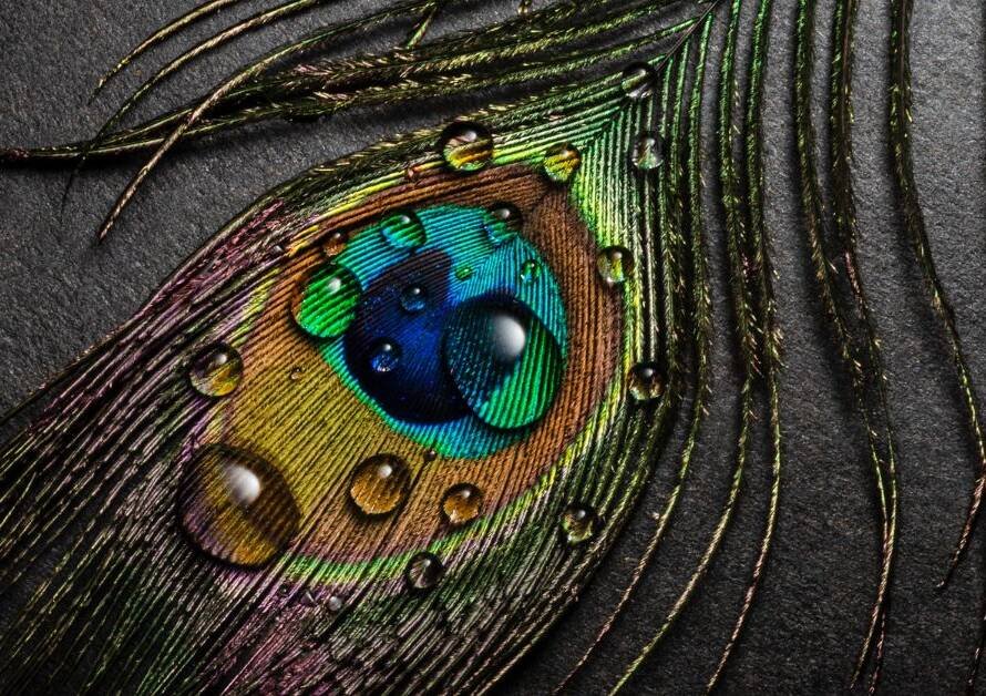 Ram-Rajya and Krishna-Neeti