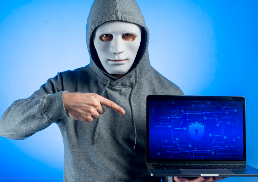 मदरबोर्ड सिंडिकेट