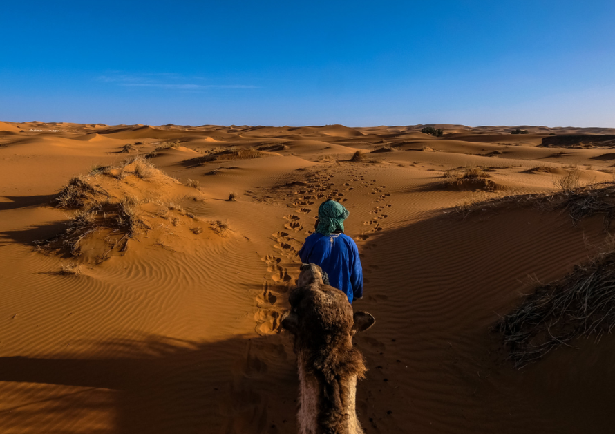 Farewell to the Desert